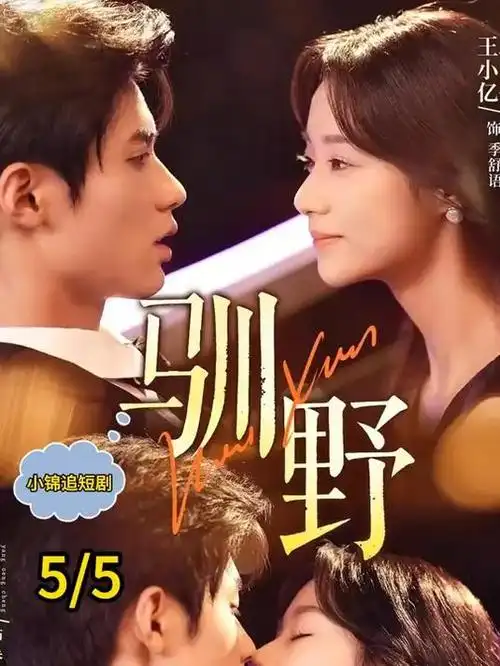 风起南岸热播电视剧全集